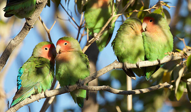 istockphoto