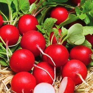 16 лучших сортов редиса для весеннего посева в грунт