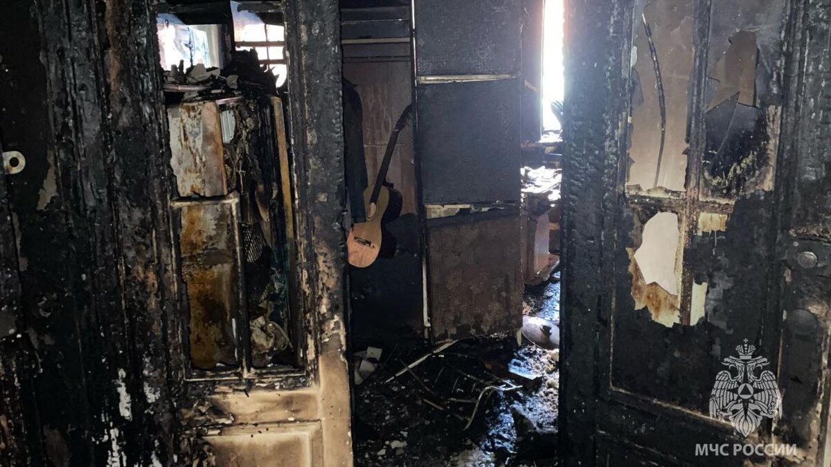    Фото: t.me/mchspetersburg