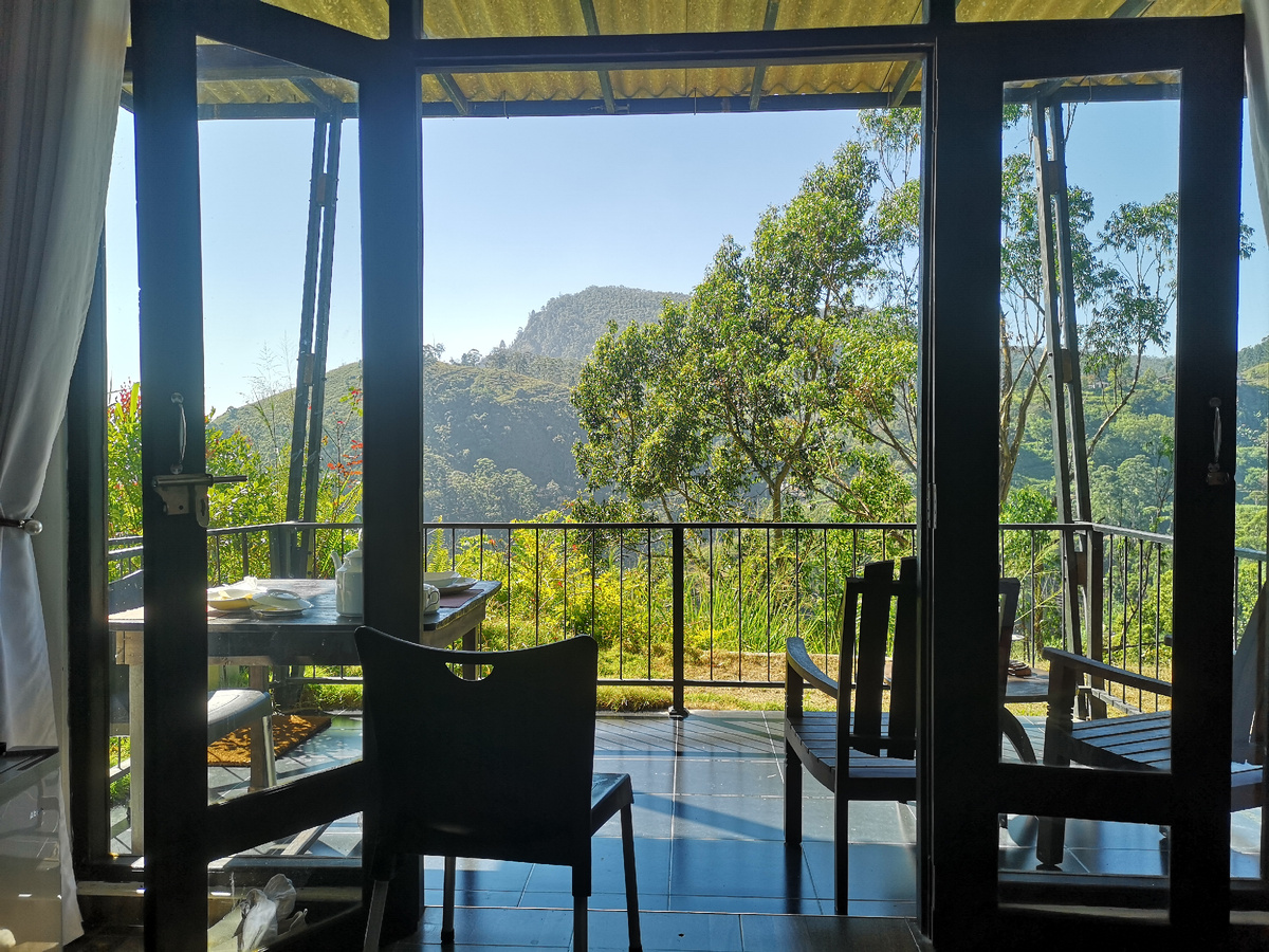 Вид из номера отеля Mount Shadows (жаль, что в статье нельзя размещать видео)