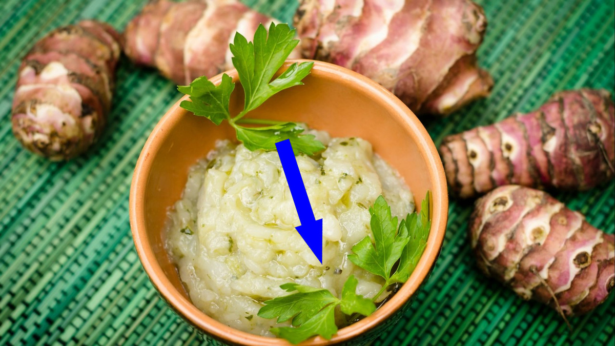    Возрождаем русские коренья пастернак и топинамбур в домашней кухне