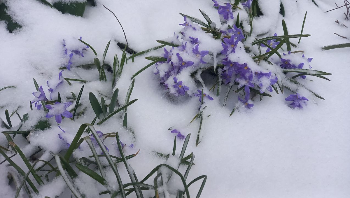 Фото из открытого доступа