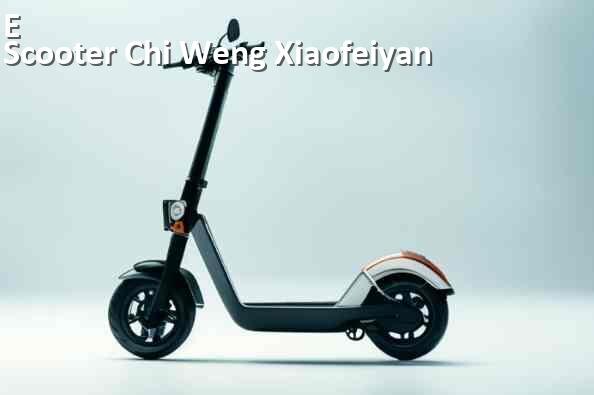 
Коды ошибок электросамоката Chi Weng Xiaofeiyan что означает 14, 21, 15, E5, 006, E1, E2, E3