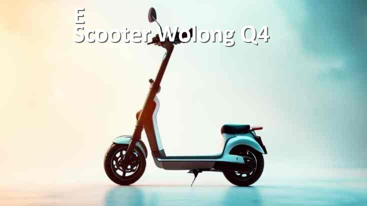 
Коды ошибок электросамоката Wolong Q4 что означает 21, 14, E5, 15, 006, E1, E3, E2