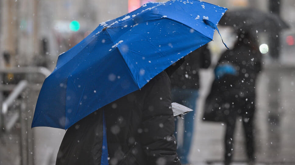 Фото: Евгений Разумный / Коммерсантъ