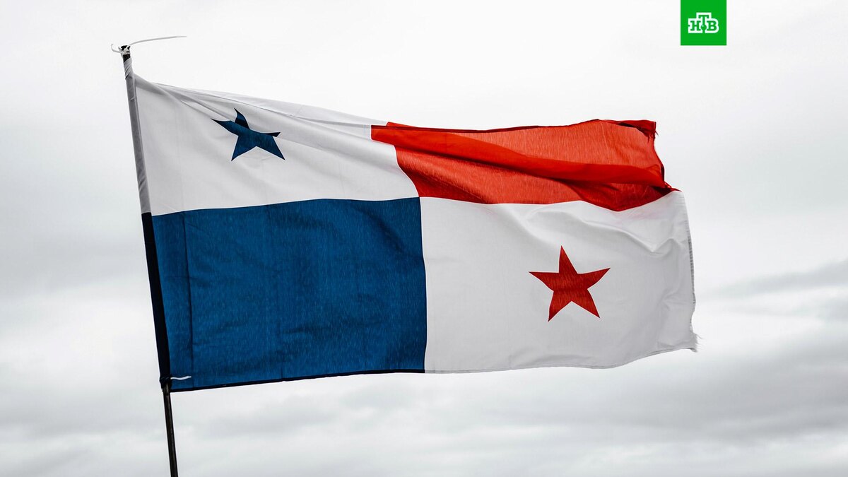    Фото: Luis Gonzalez / unsplash.com