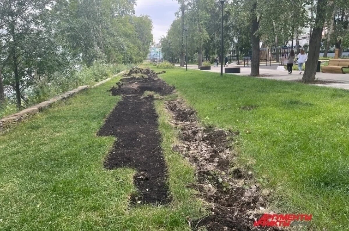    Парки Омска от клещей обработают на следующей неделе