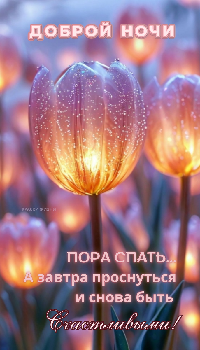 Доброй ночи 