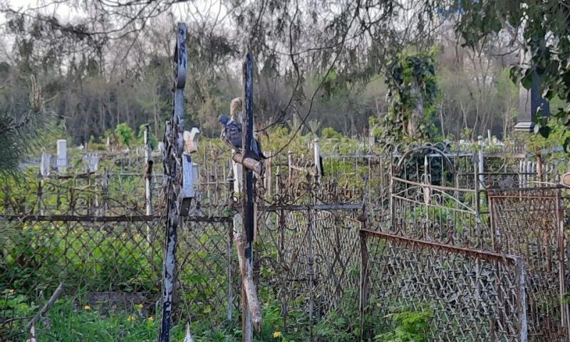    Фото Ольги Жердевой, «Кубань 24»