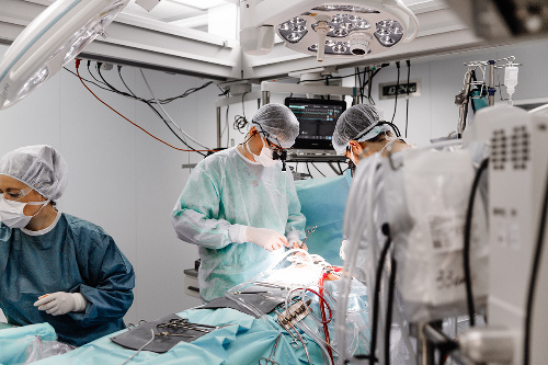    Фото: НМИЦ им. Мешалкина