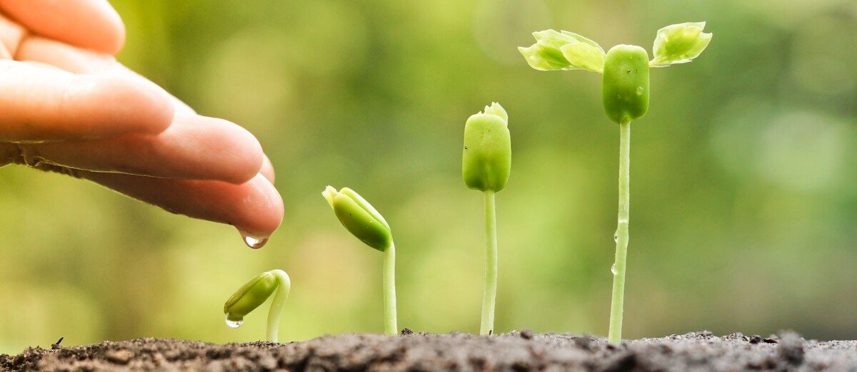 доход авторов на канале