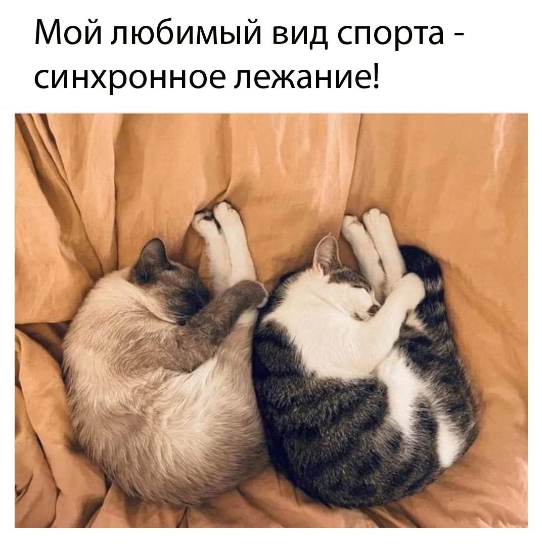 Источник фото Яндекс Картинки