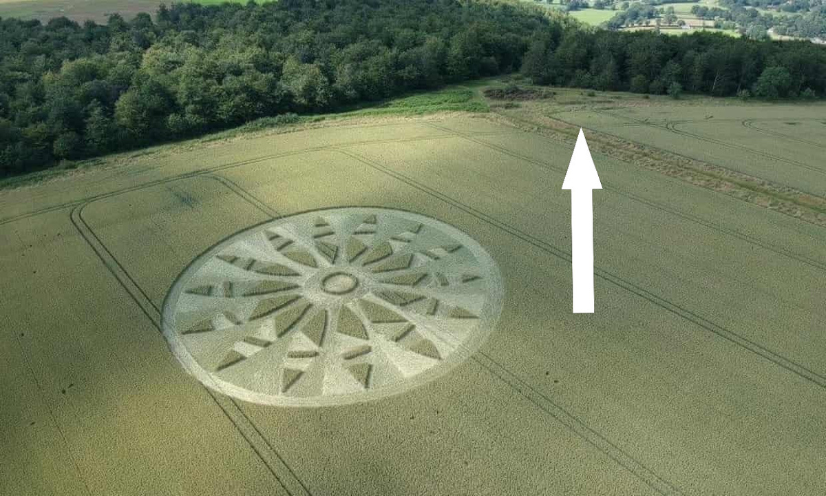    Тайна кругов на полях разгадана или это все еще загадка для человечества