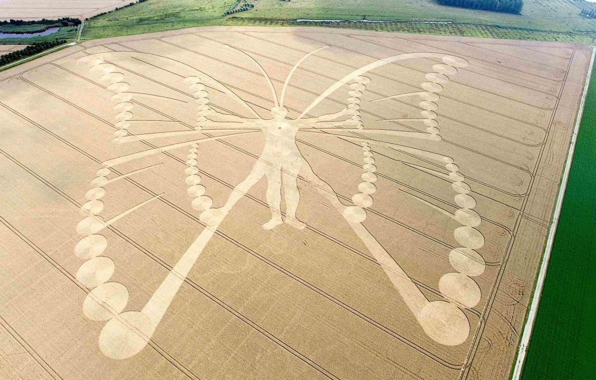    Тайна кругов на полях разгадана или это все еще загадка для человечества