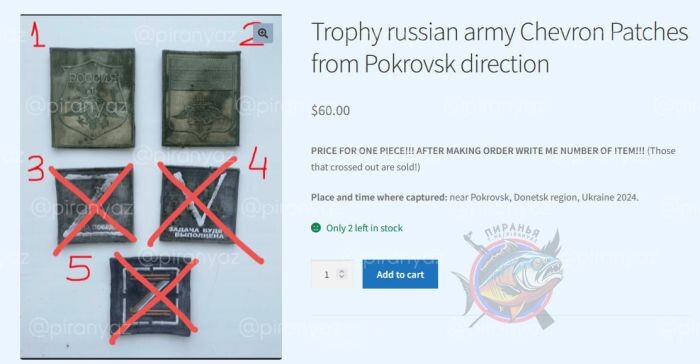    Фото: Telegram-канал ЖИВОВ Z