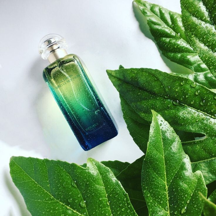 Hermès — Un Jardin Après la Mousson