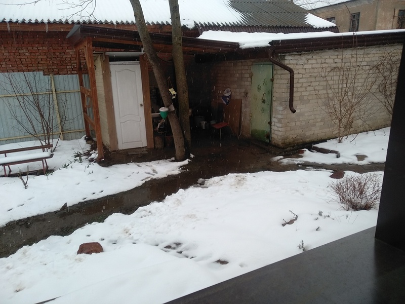 Обзор двора с птицами