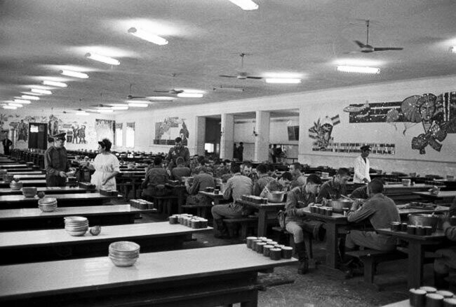 на стенах соответствующие картинки...