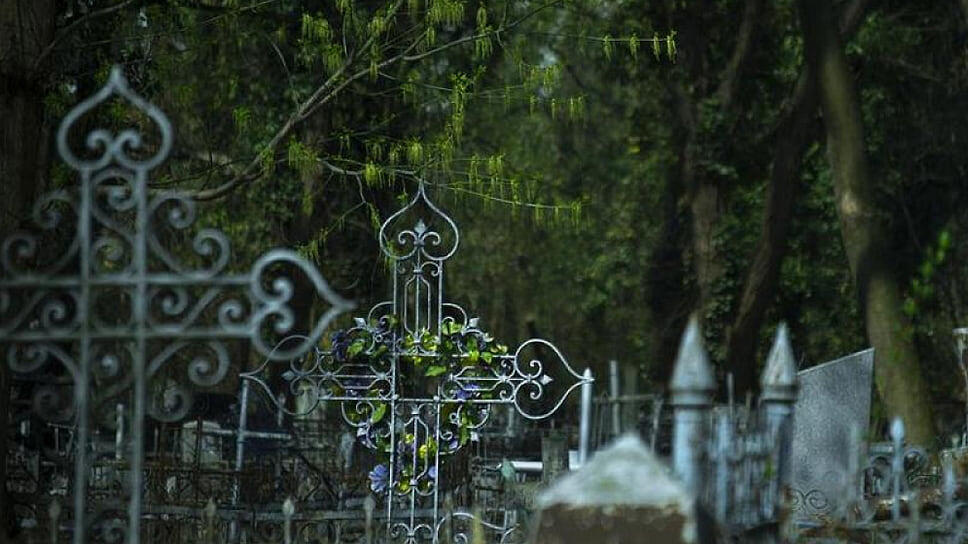 Фото: пресс-служба администрации Краснодара