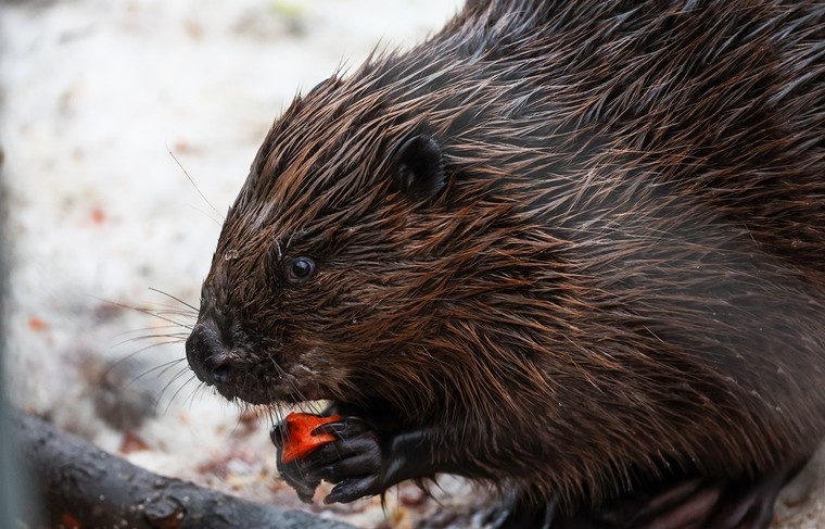    Наталья Шатохина/NEWS.ru