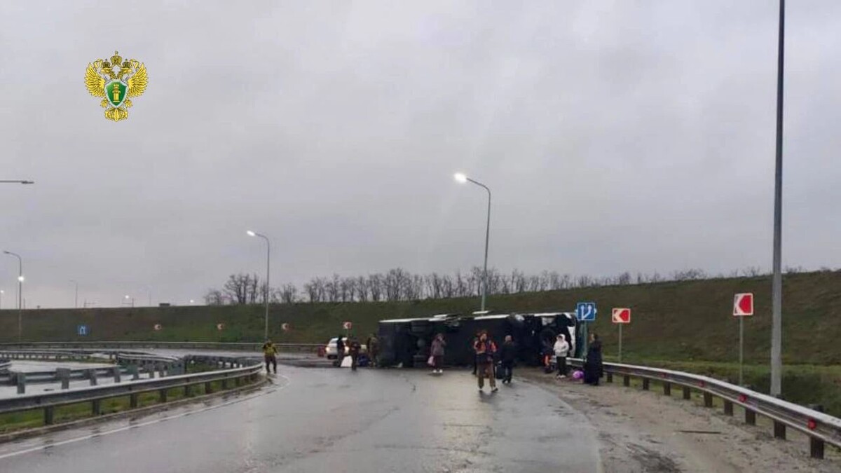    Фото: t.me/rostovoblproc61/