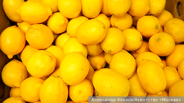     Фото: Александр Авилов/Агентство «Москва»   
 Текст: Вера Басилая