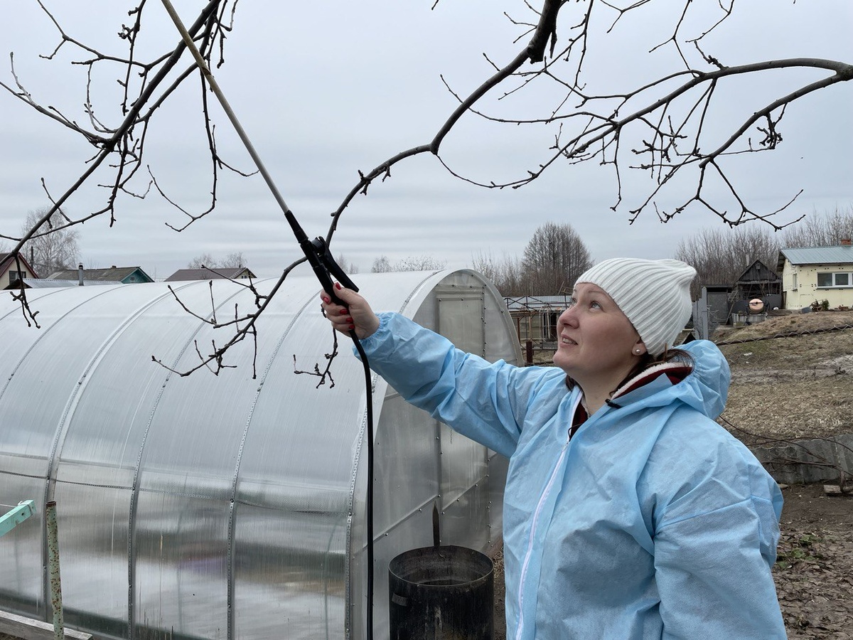 защита от возвратных заморозков