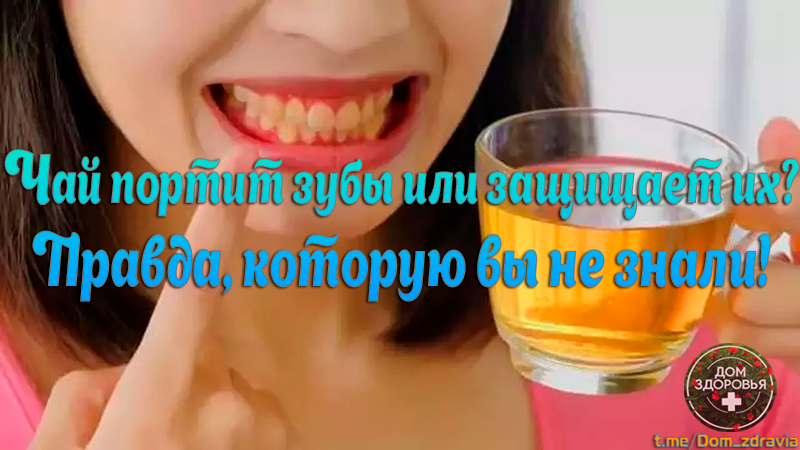 Чай портит зубы или защищает их? Правда, которую вы не знали!