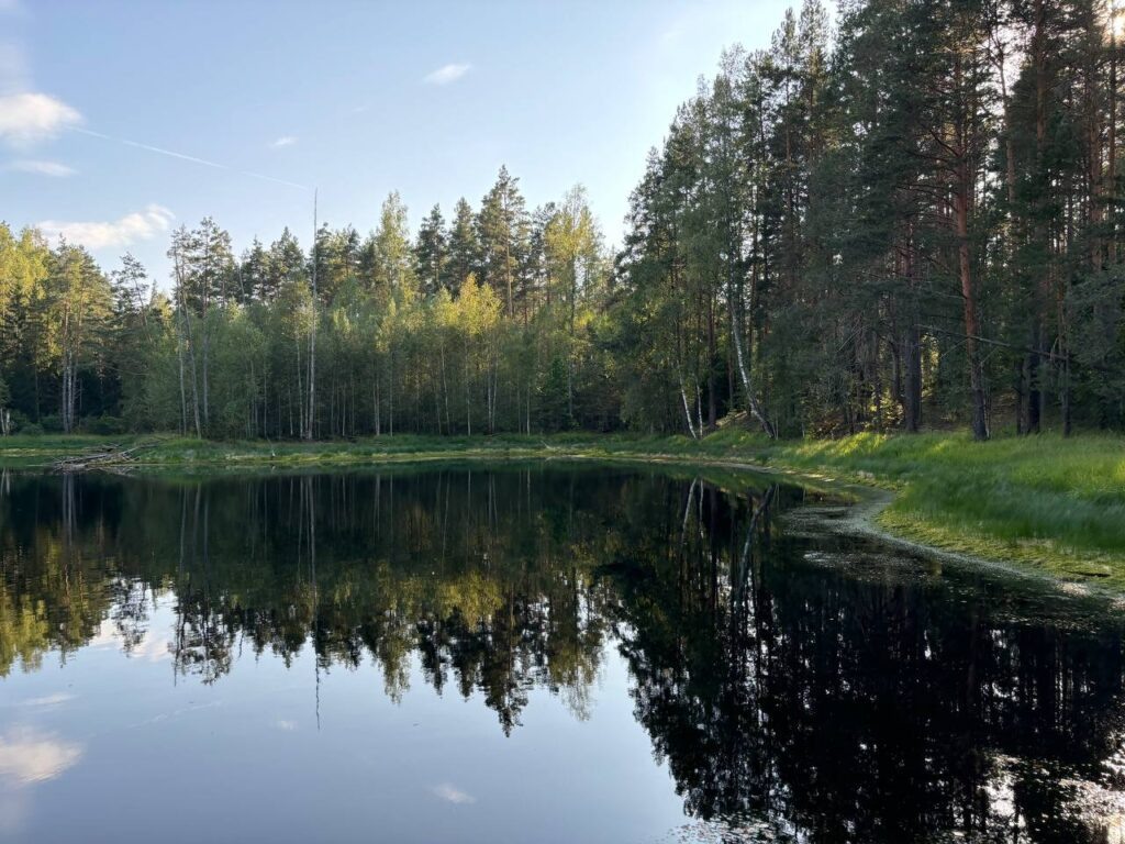    Фото: sn-gazeta.ru Юля Баранова