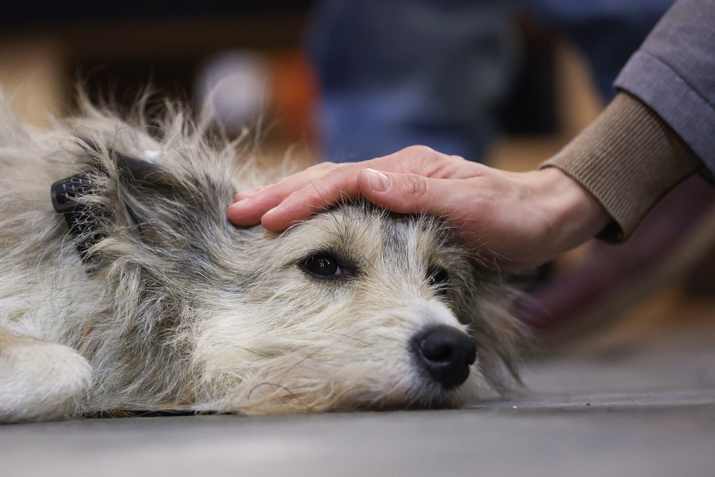    Фото © Сергей Булкин / ТАСС