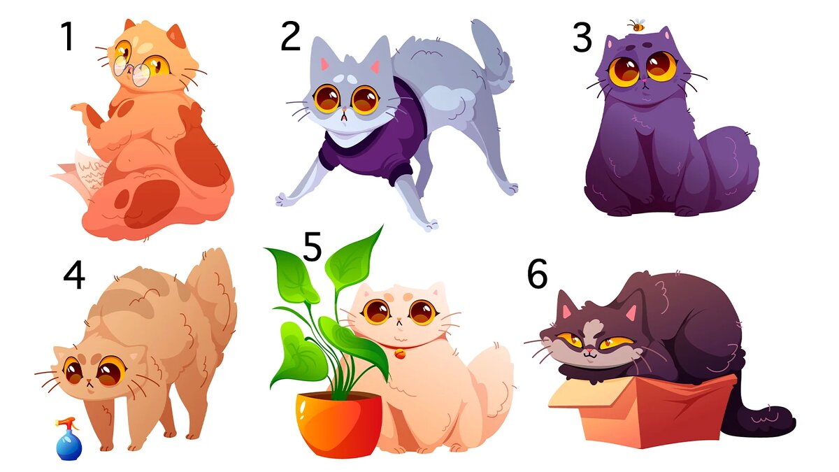 Не думайте долго, выбирайте того котика, который приглянулся сразу же.