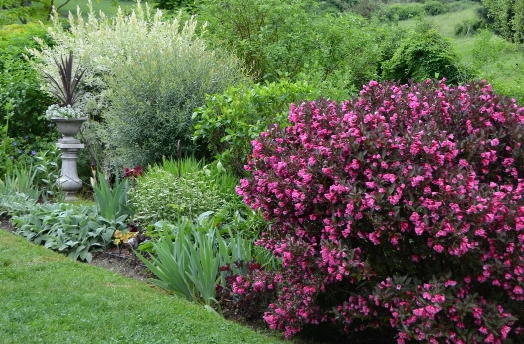 Иллюстрация к теме из общедосиупных источников 