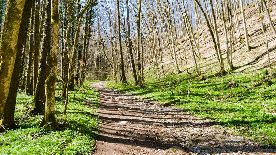 Фото: Маргарита Синкевич