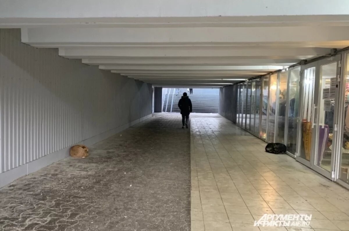    В Ижевске вновь планируют начать ремонт подземного перехода возле УдГУ