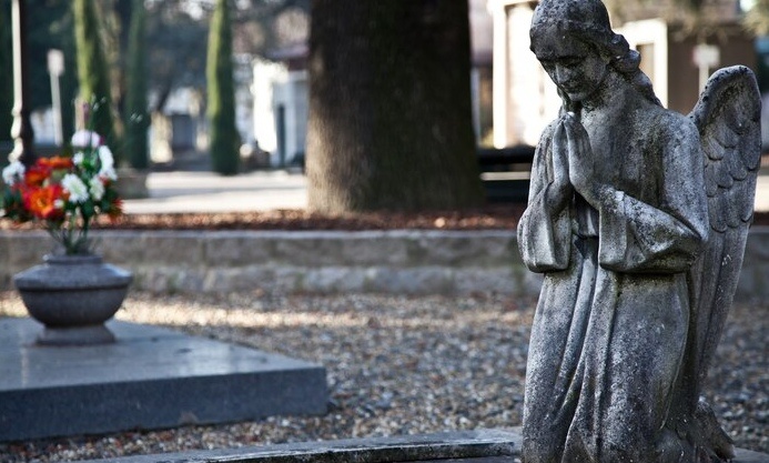    Фото: ru.freepik.com Анфиса Слепцова