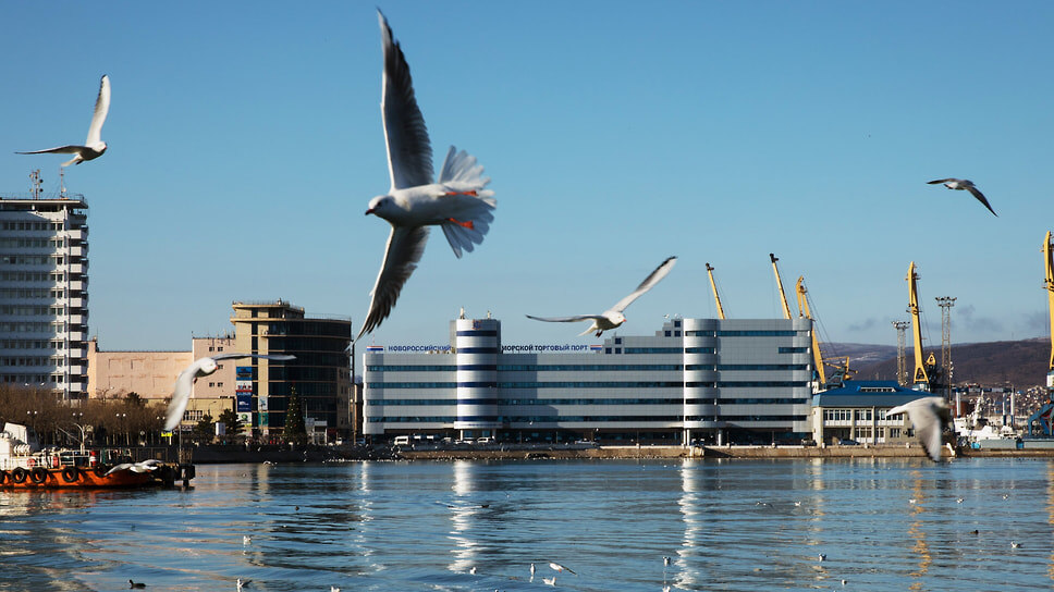 Фото: Алексей Зотов / Коммерсантъ