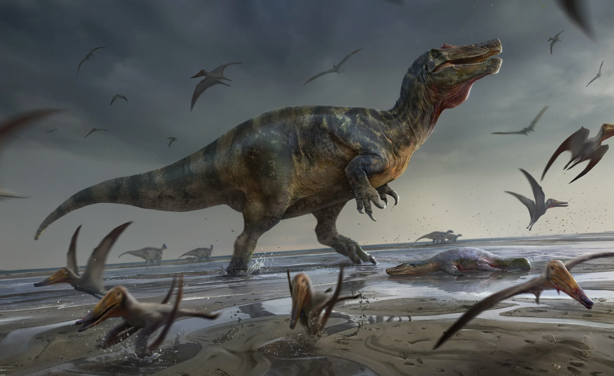 Спинозавр спинозавриды