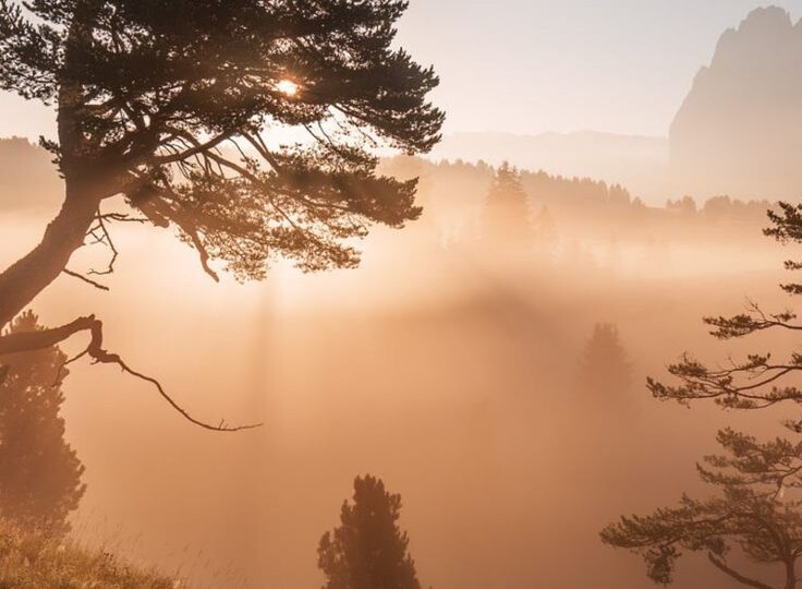 Лучше бы я тебя не рожала. Что делать, если это говоили вам? Как быть, если вы сами так говорили своему ребенку?