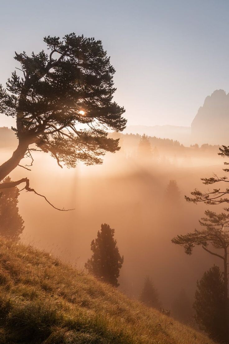 Источник фото: https://ru.pinterest.com/zhilliman