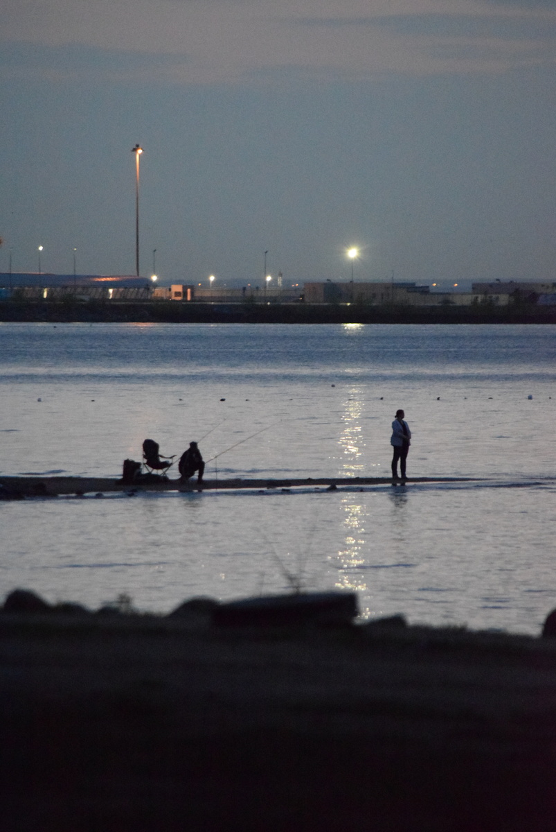 Здесь и далее фото автора