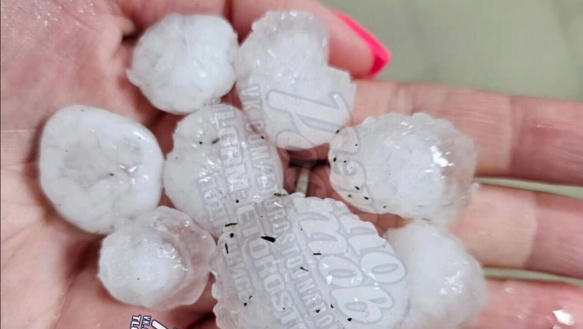     Автор: ТГ Это Ростов