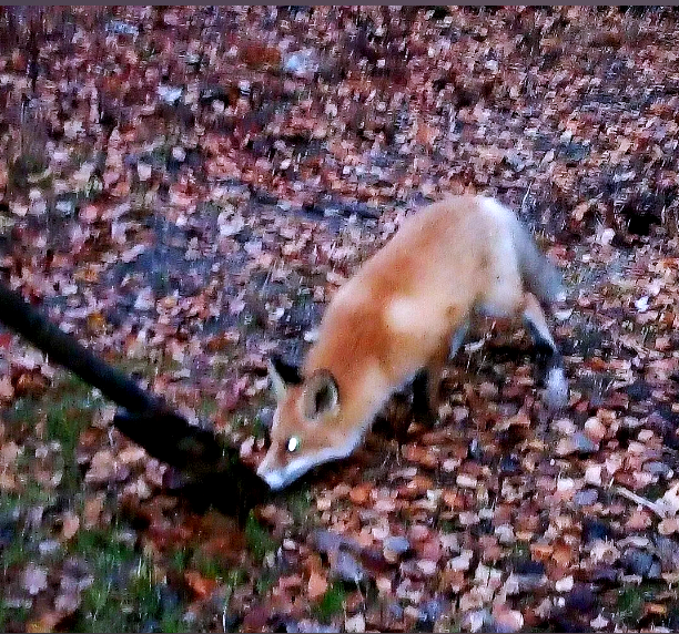 Фото из личного архива автора.