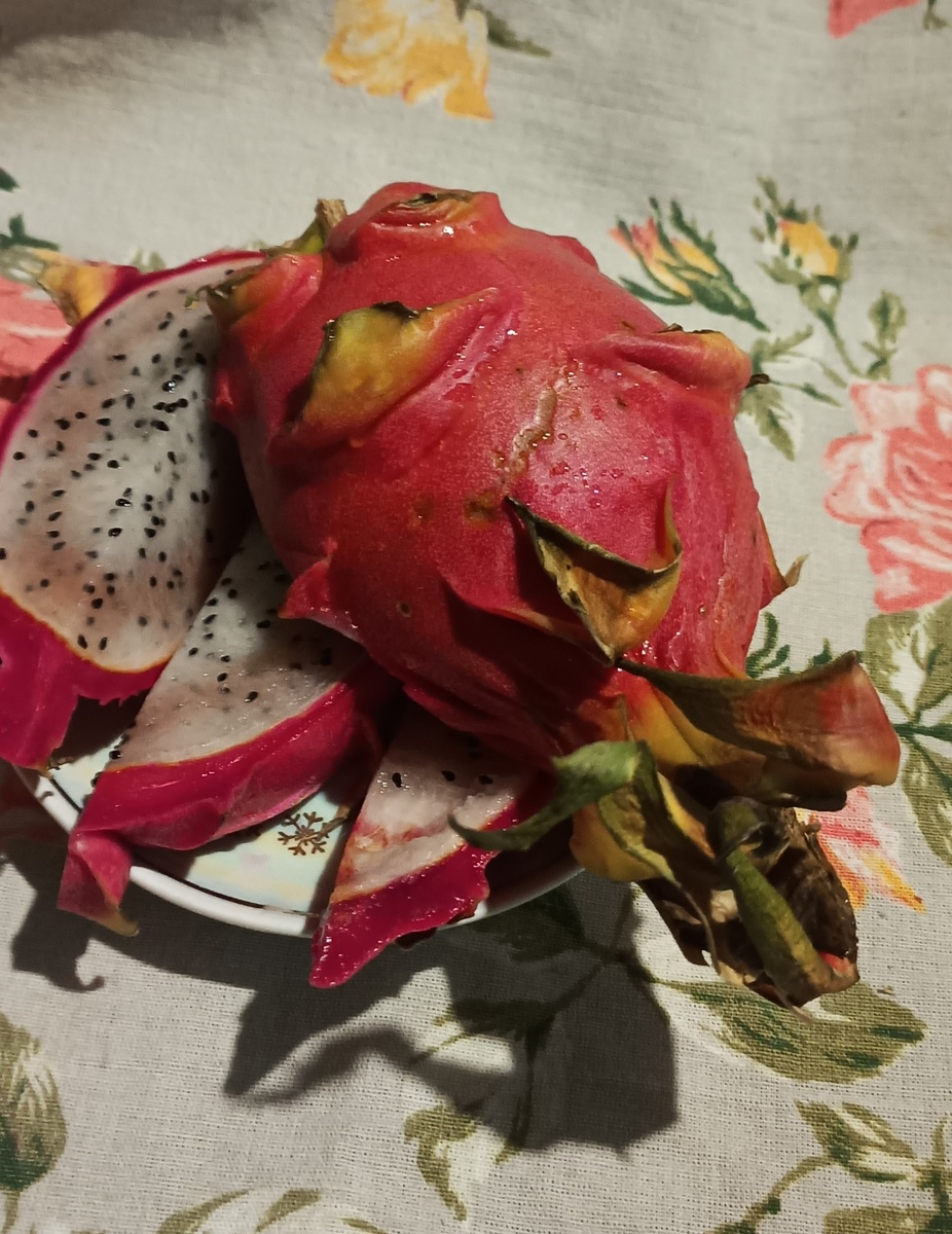 Фото автора. Наш питахайя готов к употреблению. 