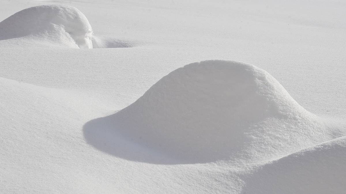    зима / Фото: Анна Быкова / Вечерняя Москва