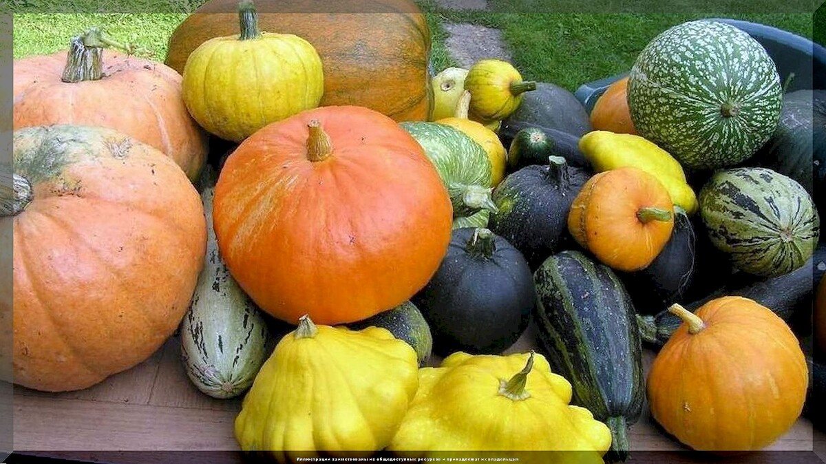 https://vk.com/photo-159774511_457270450