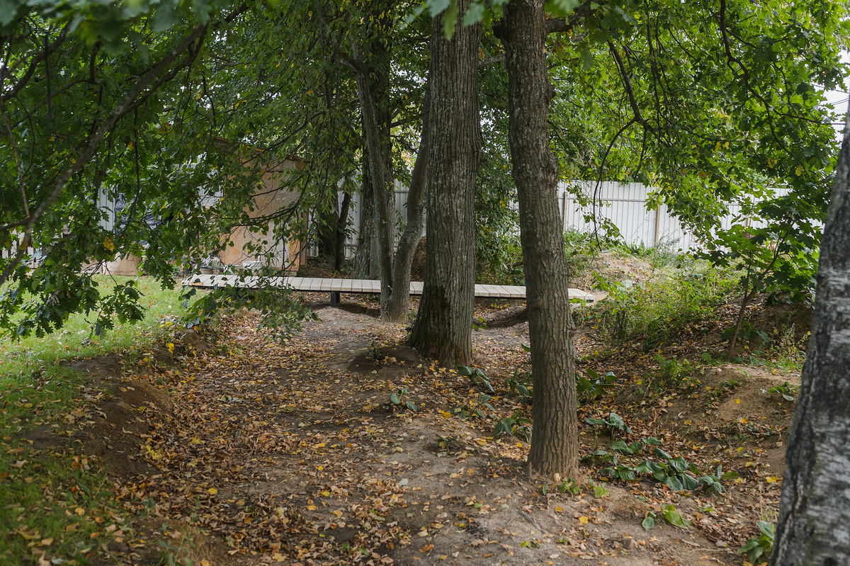 Около корней деревьев оставили расстояние больше 3х метров. Получился дикий овраг.