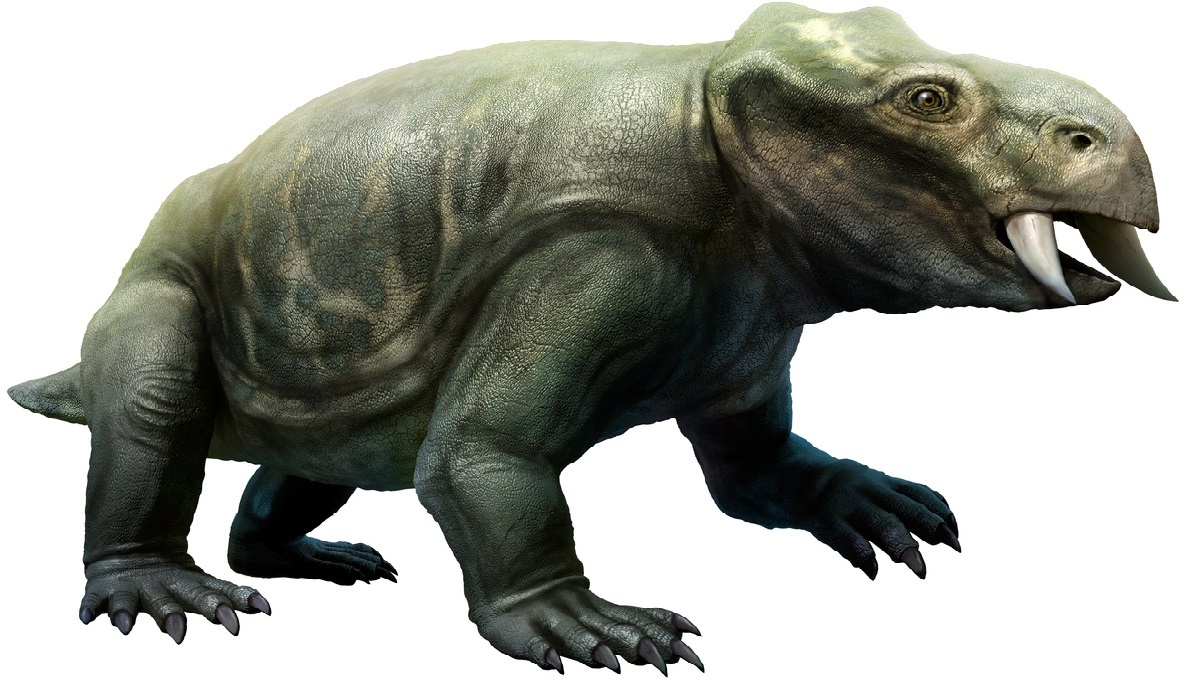 Дицинодонт Плацериас (Из открытых источников) 