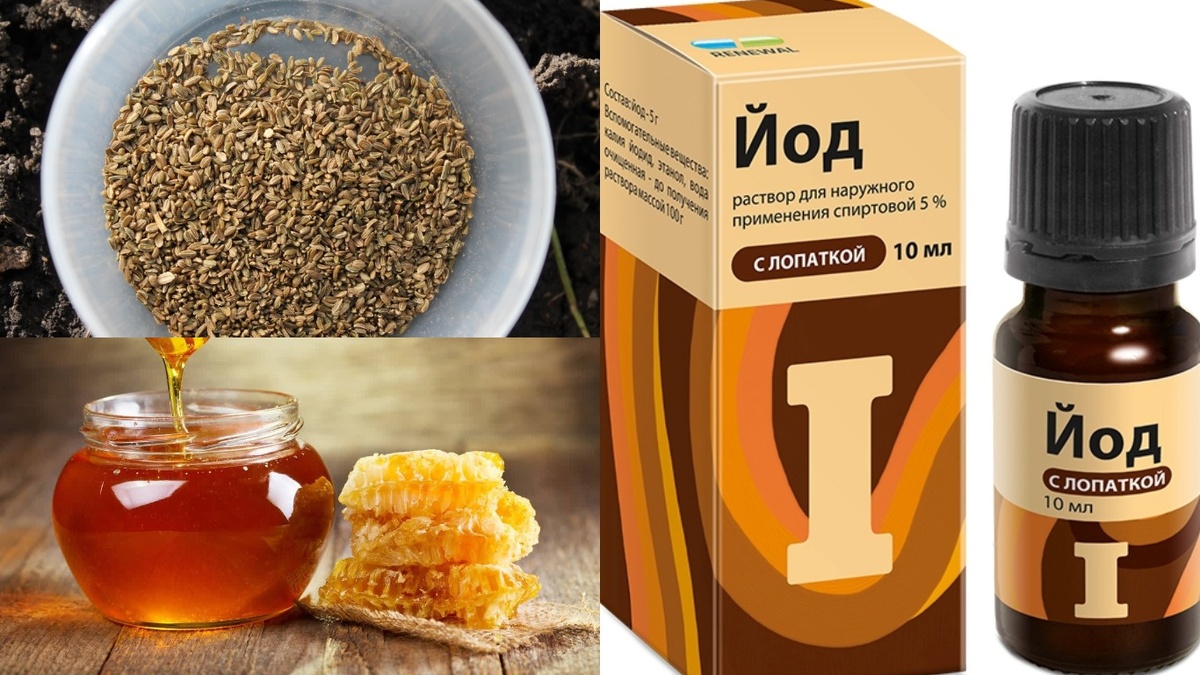 Замачивание семян моркови в растворе йода и меда. Время на часах - ровно 5 часов