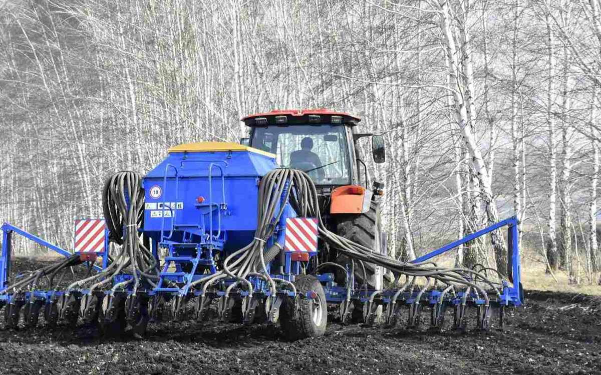    В Липецкой области аграрии приступили к севу масличных Министерства сельского хозяйства Липецкой области