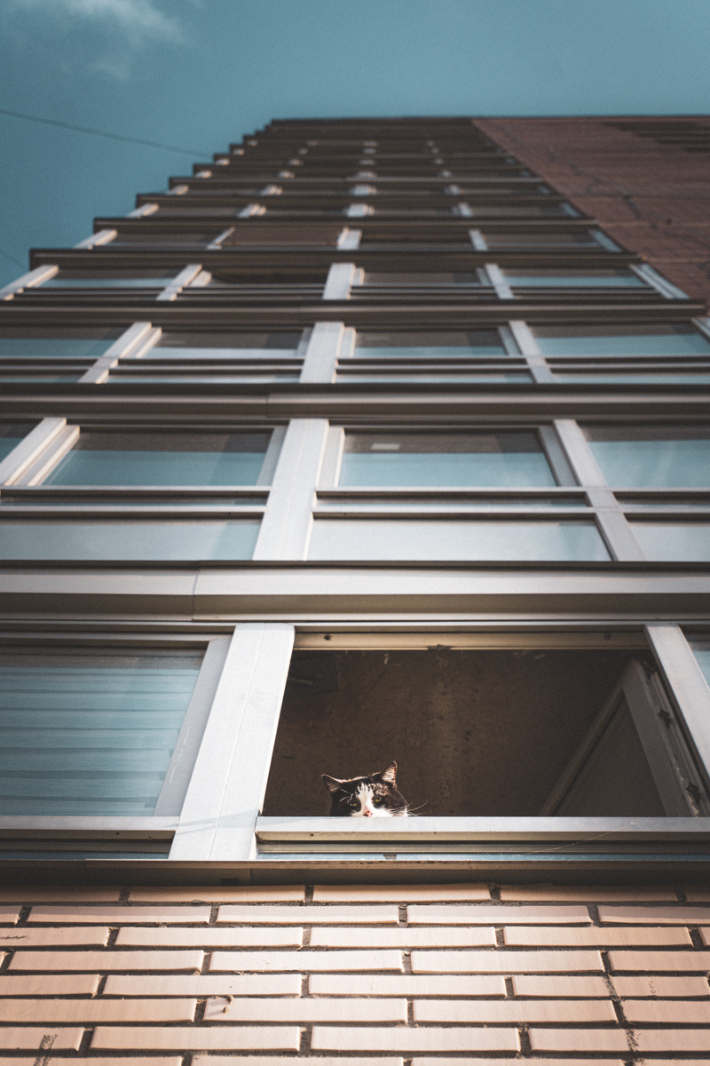 Случайный свидетель, который мог бы меня раскрыть, но до которого не так-то просто добраться